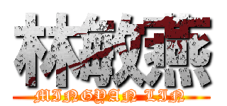 林敏燕 (MINGYAN LIN)