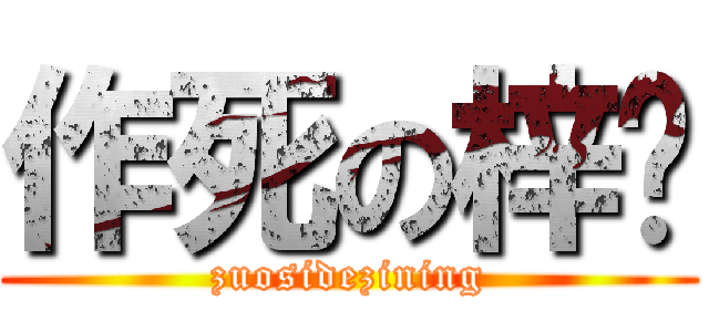 作死の梓宁 (zuosidezining)