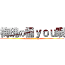 梅瑰の桶ｙｏｕ眼 (rose on atkeye)