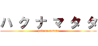 ハ ク ナ マ タ タ (hakuna matata)