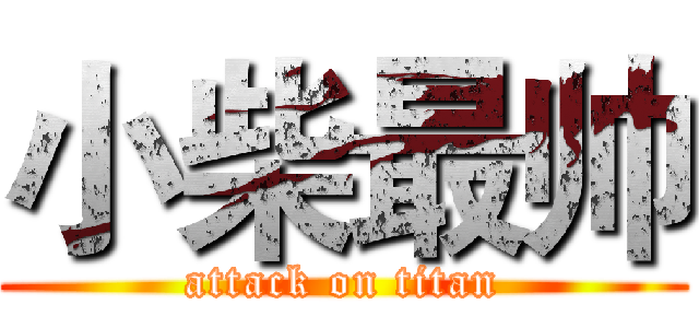 小柴最帅 (attack on titan)