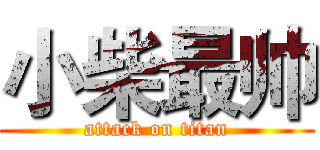 小柴最帅 (attack on titan)