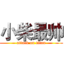 小柴最帅 (attack on titan)