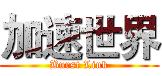 加速世界 (Burst Link)