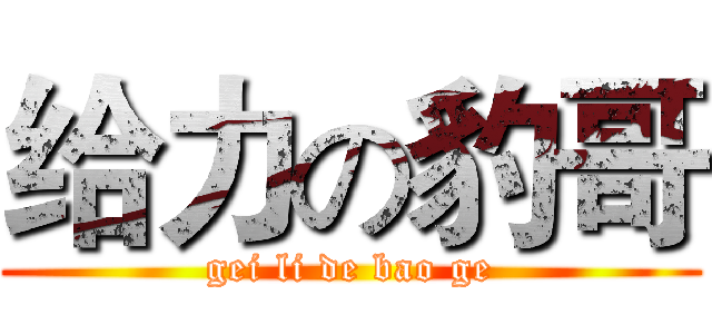 给力の豹哥 (gei li de bao ge)