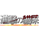 進擊の貓屎 (attack on catshit)