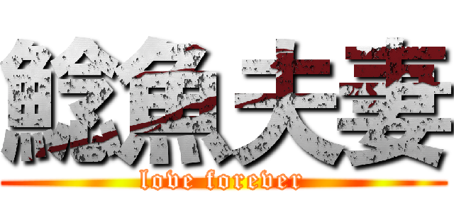 鯰魚夫妻 (love forever)