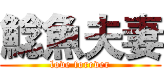 鯰魚夫妻 (love forever)