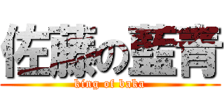 佐藤の藍青 (king of baka)