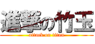 進撃の竹玉 (attack on titan)