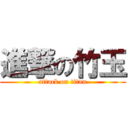 進撃の竹玉 (attack on titan)