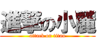 進撃の小麗 (attack on titan)
