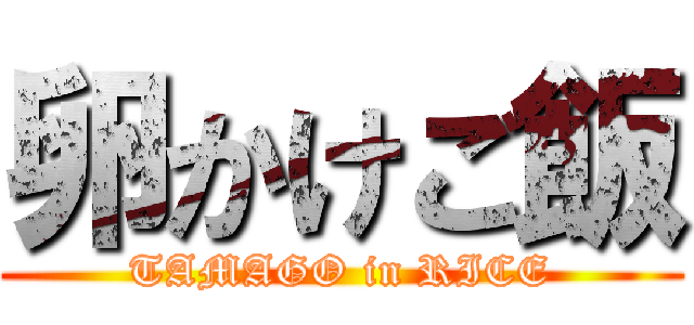 卵かけご飯 (TAMAGO in RICE)