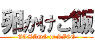 卵かけご飯 (TAMAGO in RICE)