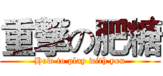 重撃の肥糖 (How to play with you)