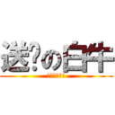送雞の白牛 (阿里則戇率啊)