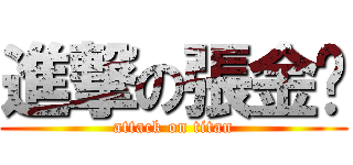 進撃の張金蓓 (attack on titan)