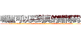 哪里可以买到真的赌博药水 (哪里可以买到真的赌博药水【电.话156x1318x7580-Q1991936399鑫宏药业】我们做的是长期生意,靠的是老客户长期支持
参考消息网2月20日报道 韩媒称，“剩女多、离婚率高的城市，房价一定会上涨。”这是中国经济学家金岩石2016年12月参加在上海举行的房地产相关论坛时说的话。
)