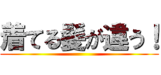 着てる髪が違う！ ()