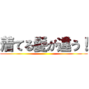 着てる髪が違う！ ()