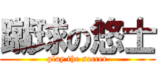 蹴球の悠士 (play the soccer)