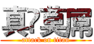 真•莫屌 (attack on titan)