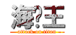 海贼王 (attack on titan)