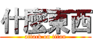 什麼東西 (attack on titan)