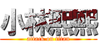 小林熙熙 (attack on titan)