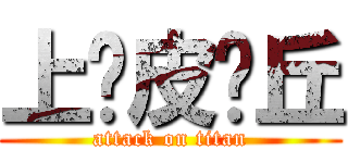 上吧皮卡丘 (attack on titan)