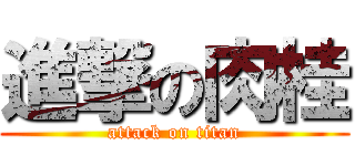進撃の肉桂 (attack on titan)