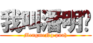 我叫潘明进 (MengmeNg puah)
