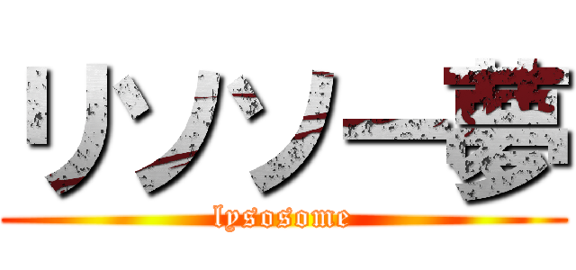 リソソー夢 (lysosome)