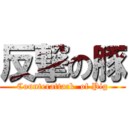 反撃の豚 (Counterattack  of Pig)