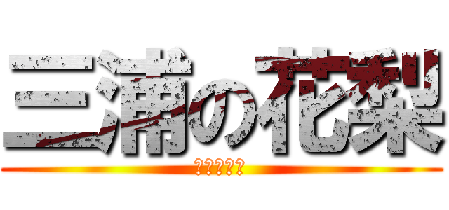 三浦の花梨 (あああああ)