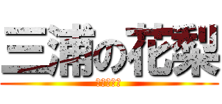 三浦の花梨 (あああああ)