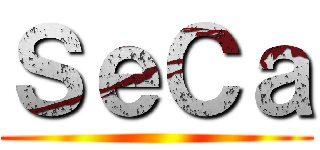 ＳｅＣａ ()