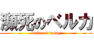 瀕死のベルカ (belka of dying)