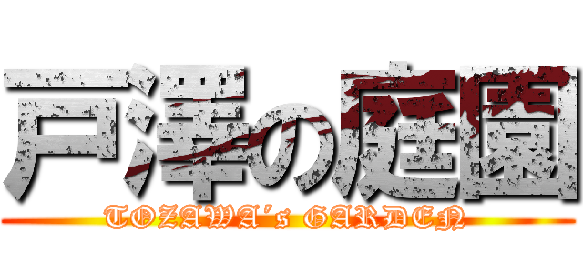 戸澤の庭園 (TOZAWA´s GARDEN)