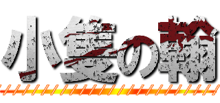 小隻の翰 (////////////////////////)