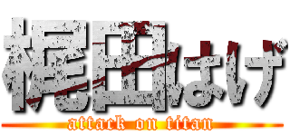 梶田はげ (attack on titan)