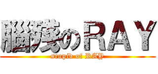 腦殘のＲＡＹ (stupid of RAY)