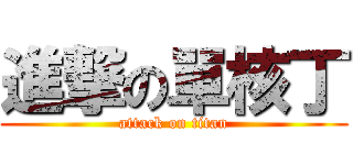 進撃の單核丁 (attack on titan)