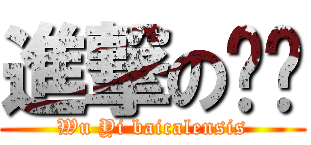 進撃の芩芩 (Wu Yi baicalensis)