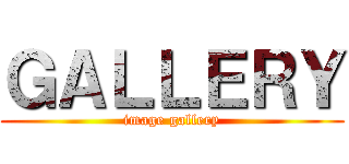 ＧＡＬＬＥＲＹ (image gallery)