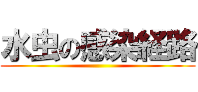 水虫の感染経路 ()