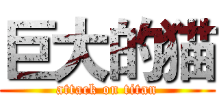 巨大的猫 (attack on titan)