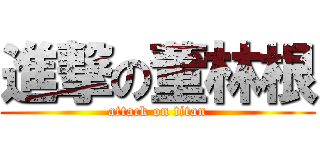 進撃の董林根 (attack on titan)