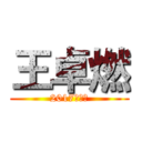 王卓燃 (2017届⑨班)