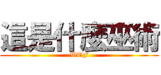 這是什麼巫術 (WTF)